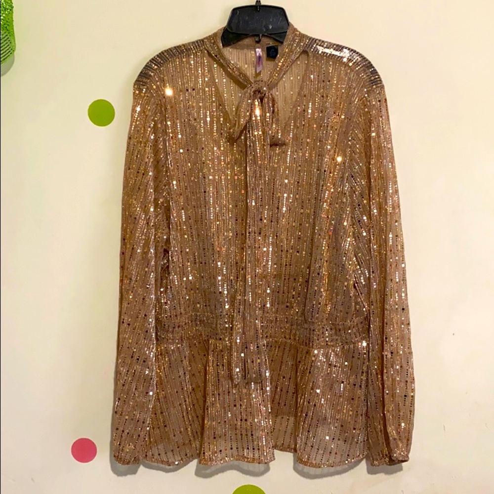 Beautiful Women’s 2X blouse with tie collar